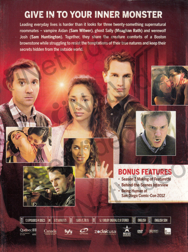 Being Human - The Complete Second Season (2nd) (Boxset) on DVD Movie